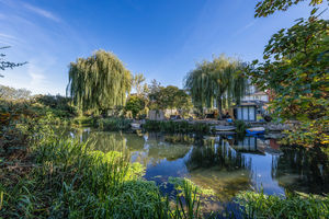 River Mole- click for photo gallery